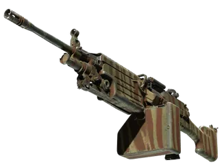 M249 | Predator (Field-Tested)